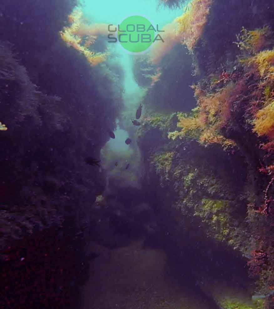 каменное ущелье под водой на дне черного моря